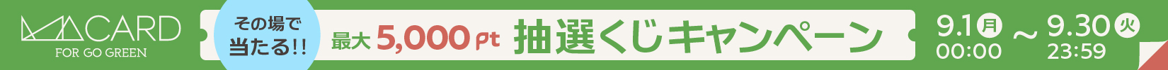 最大5000pt 抽選くじキャンペーン