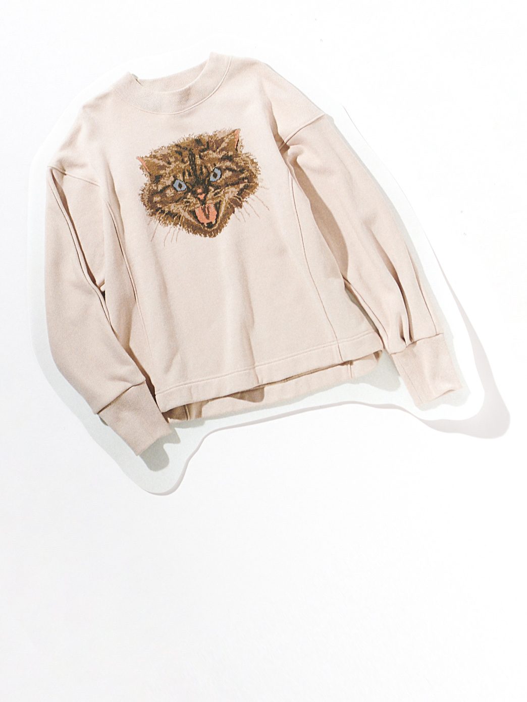Cat Sweat
