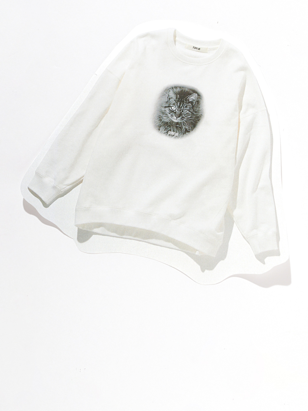 Cat Sweat