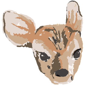 コジカ